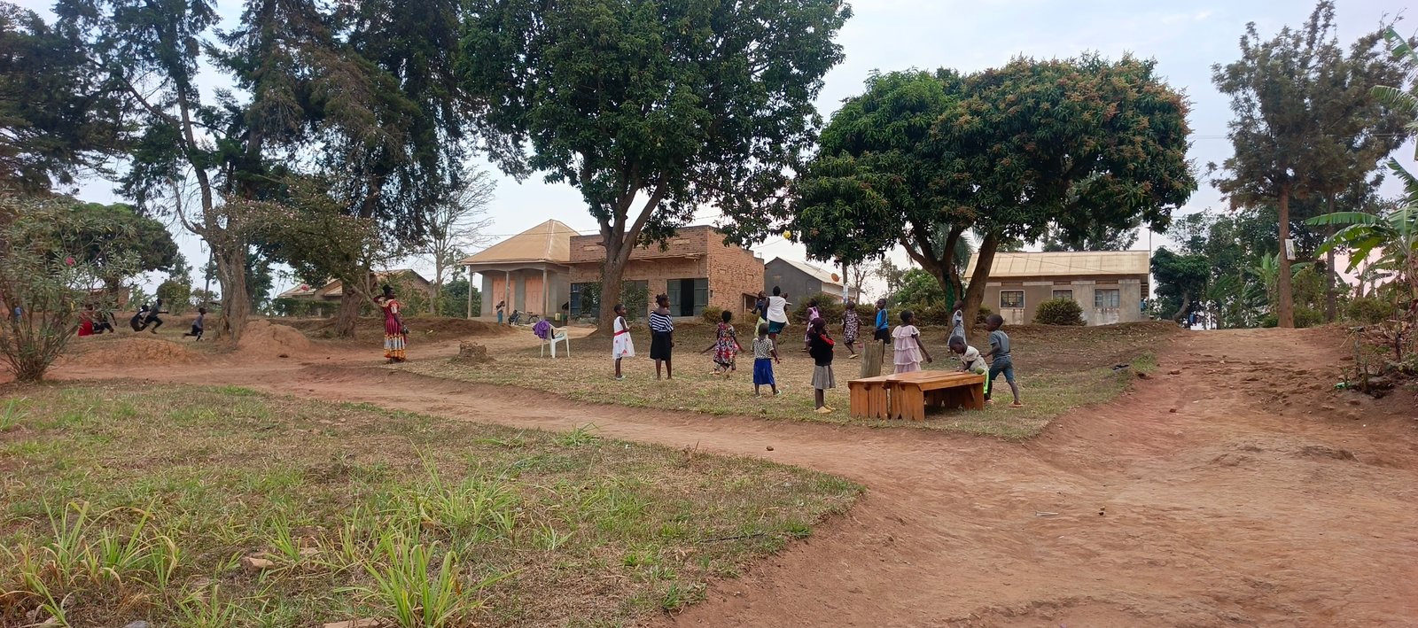 Scripture Foundation